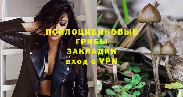 соль курить ск Аркадак